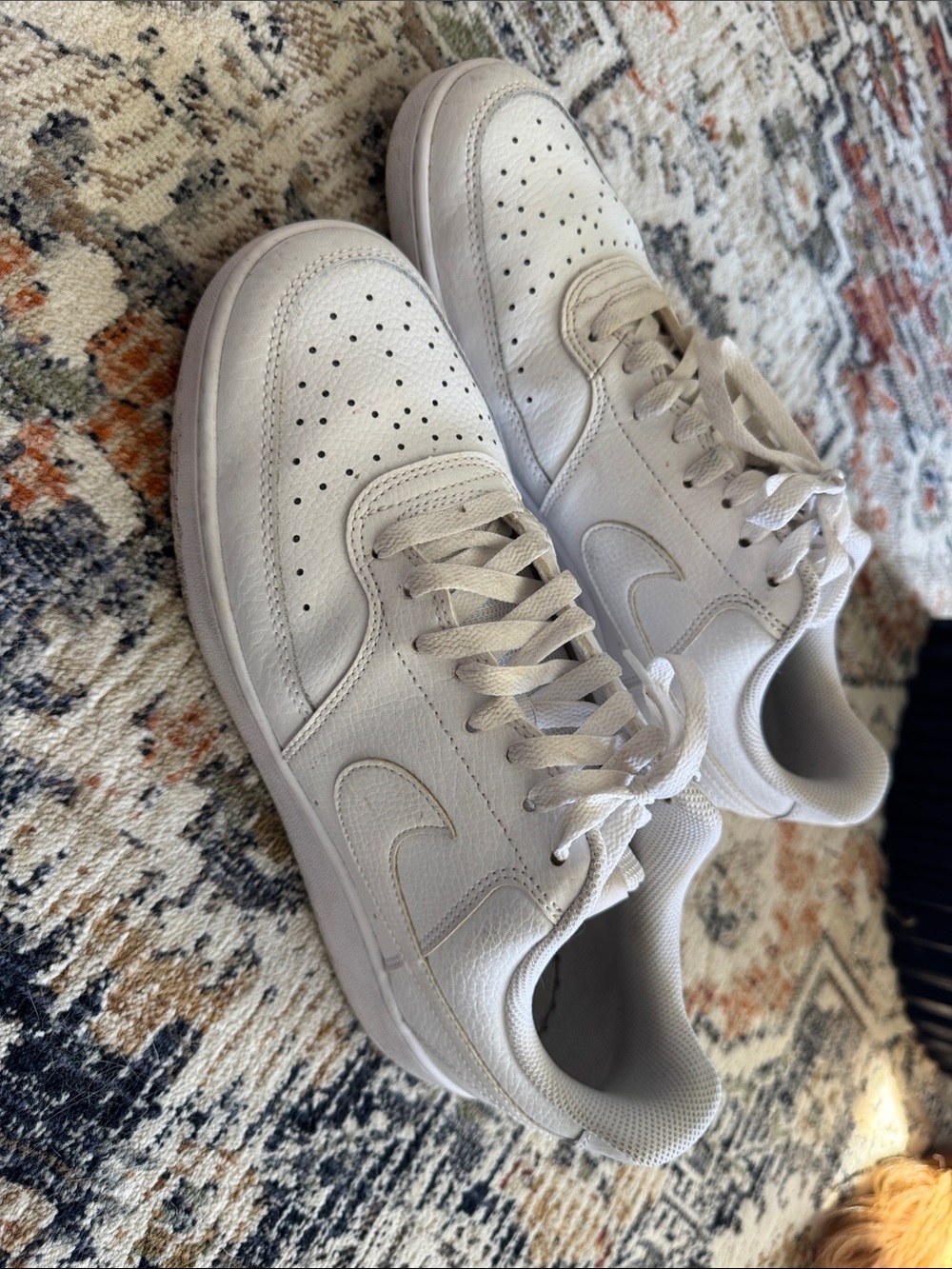 Nike Men’s White Low-Top Dunks Sneakers